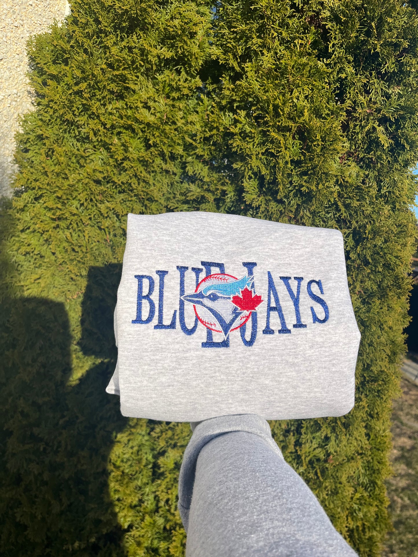Bluejays