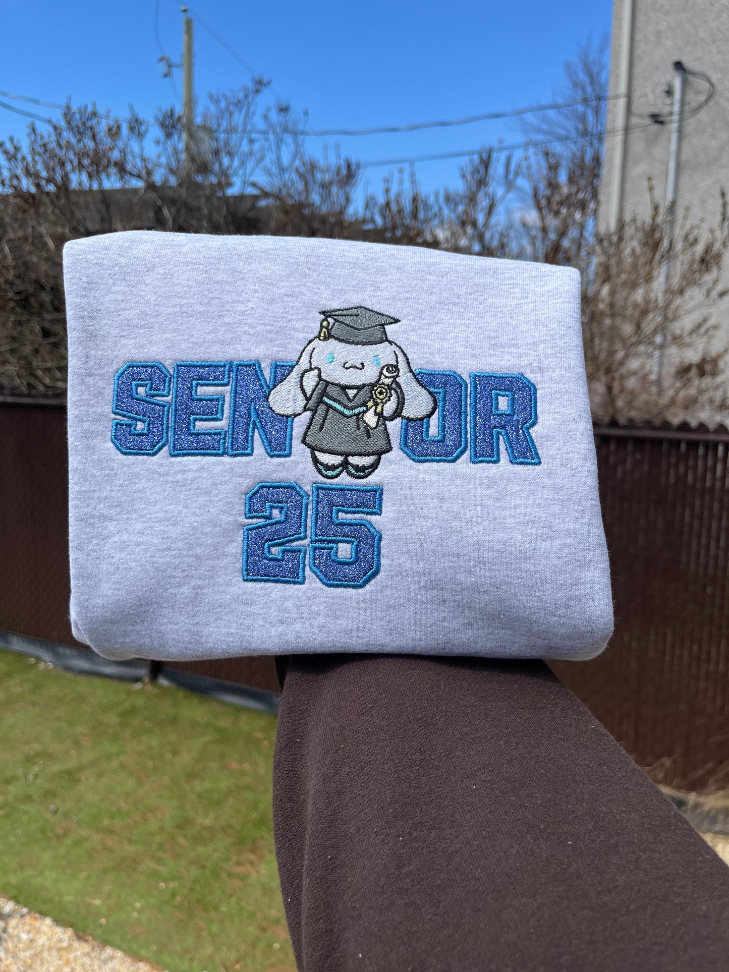 Senior 2025 Glitter Crewneck